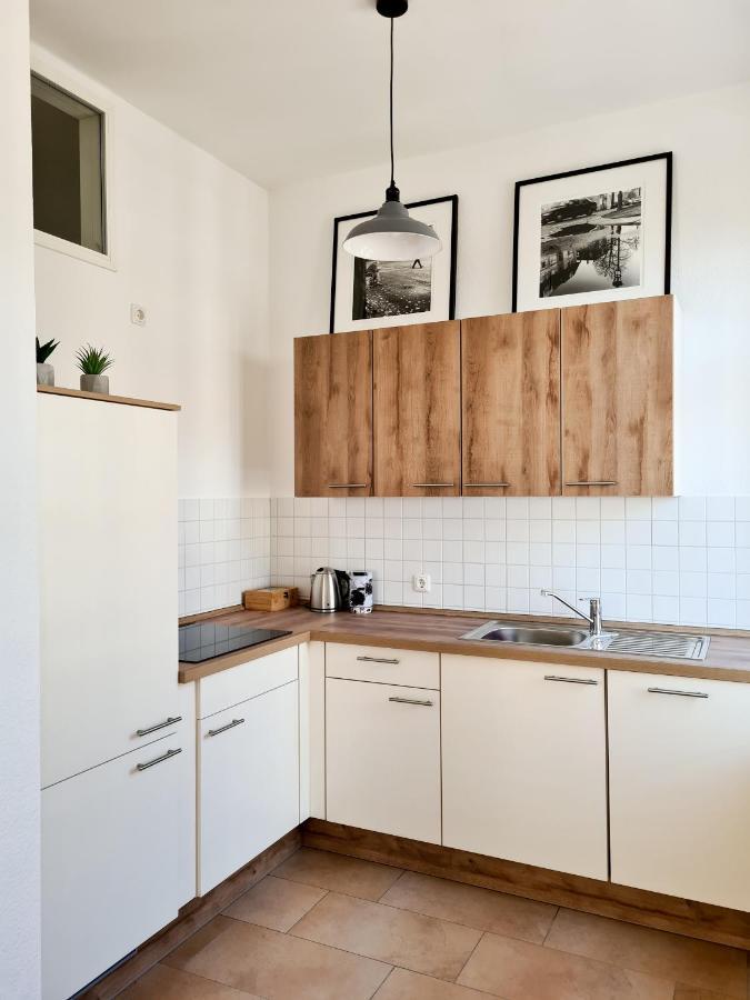 1-Raum-Wohnung Zentral Gelegen Dresde Exterior foto